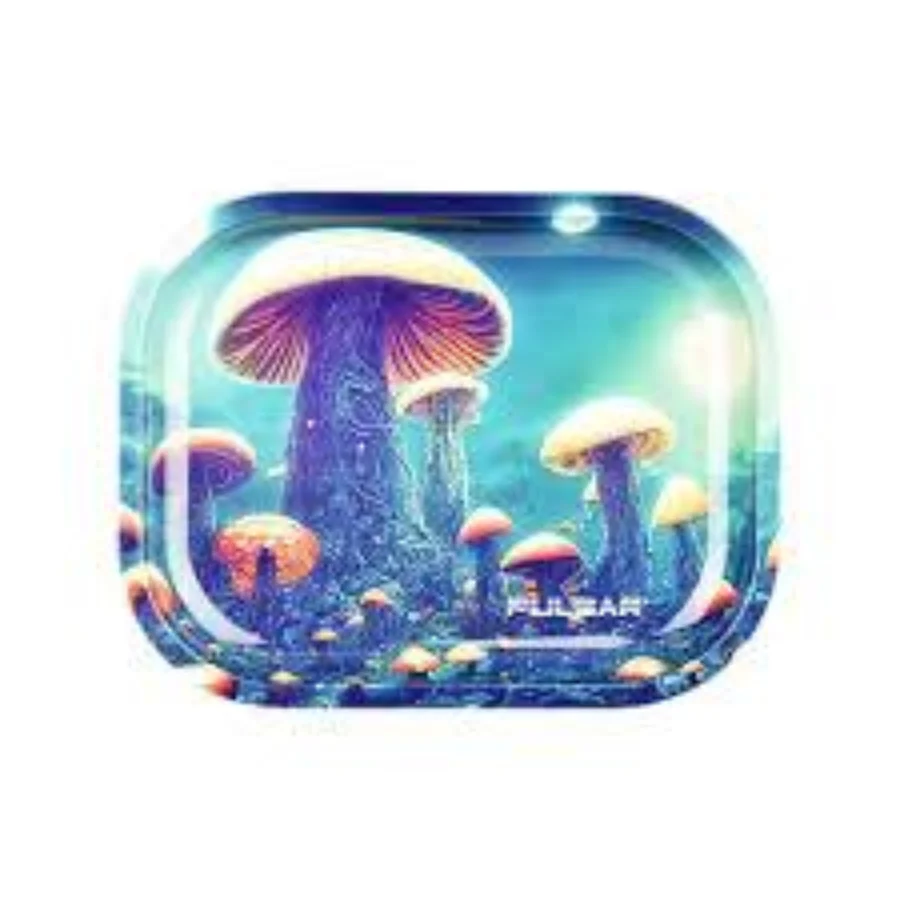 Thumbnail 28